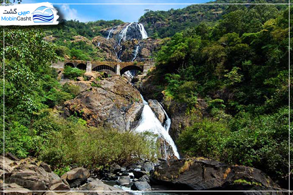 آبشار-دودهساگار-Dudhsagar-Waterfalls